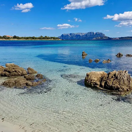 Casa Delle Brezze - A Due Passi Dalla Riva * 奧爾比亞