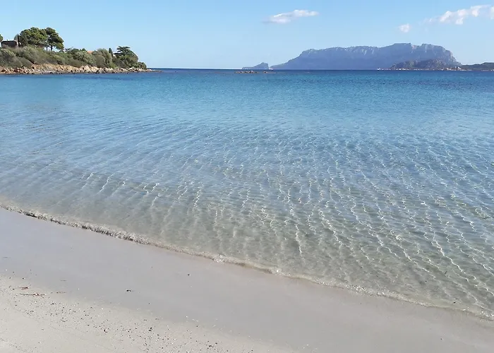 Casa de Férias Casa Delle Brezze - A Due Passi Dalla Riva